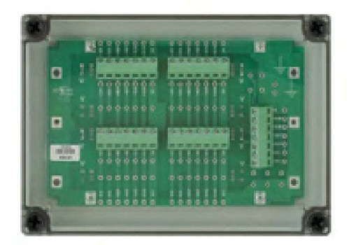 [CIP67N] CIP67N